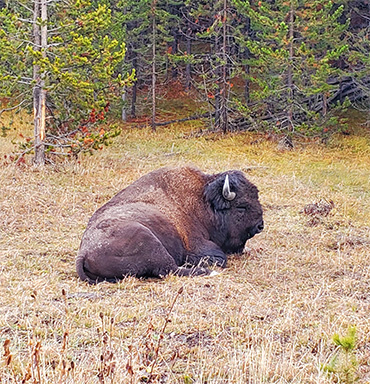 National Parks Vacations